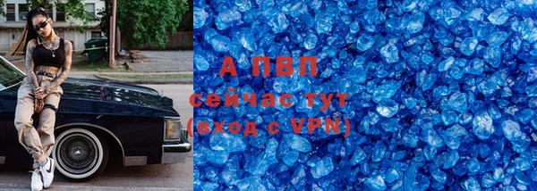 ECSTASY Белокуриха