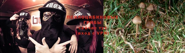 ECSTASY Белокуриха
