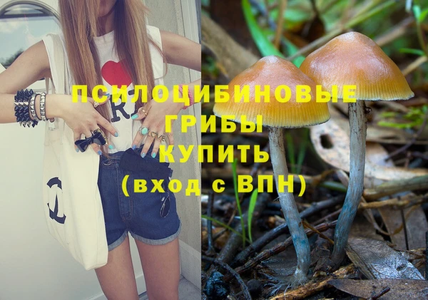 стафф Сафоново