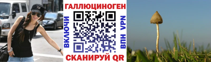 Псилоцибиновые грибы Cubensis  маркетплейс как зайти  Очёр 